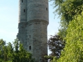 Clin d'oeil de Lucq de Béarn
