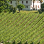 Lucq de Béarn